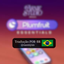 PT-BR Translation – Plumfruit Essentials logo
