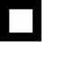 BranchPack logo