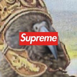 Kiols stupid idiot pack logo