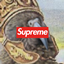 Kiols stupid idiot pack logo