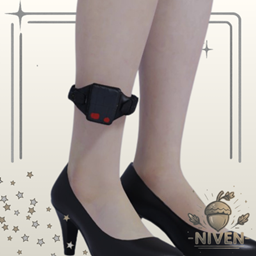 Ankle Monitor (Females) project image