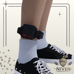 Ankle Monitor (Males) project image