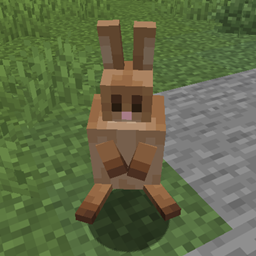 RabbitFixMod project image