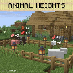 Animal  Weights project image