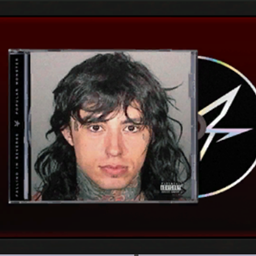 Alternative Record Wall Art logo