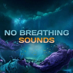 No Breathing Sounds logo