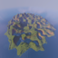 Xemtori Small Flowers Island logo