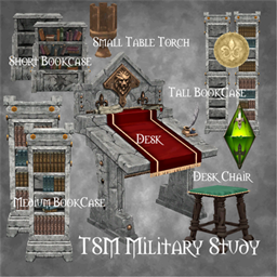 TSM King's Military Study project image
