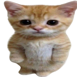 Monky rares logo