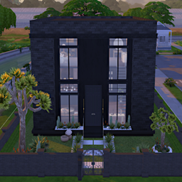 Modern Loft House project image