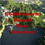 Cobblemon Brand New Journey logo