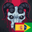 Born in chaos PTBR / SPANISH logo