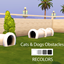 Cats & Dogs Obstacle Recolors logo