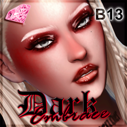 Dark Embrace Blush B13 project image