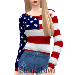 American Flag Sweater logo