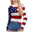 American Flag Sweater logo