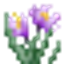 Echoes of Horizons logo
