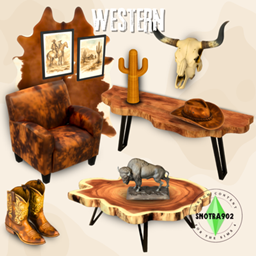 Western project image
