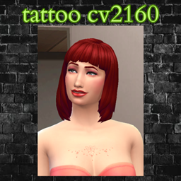 tattoo cv2160 project image
