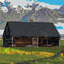 The Homesteader logo