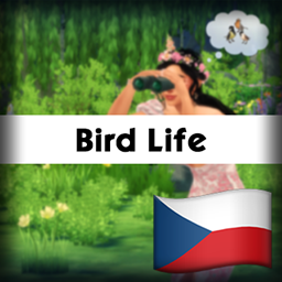 Bird Life by lot51 | Czech Translation (Čeština) project image