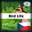 Bird Life by lot51 | Czech Translation (Čeština) logo
