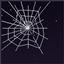 Small cobwebs logo