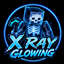 X Ray (Upgraded) logo