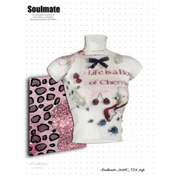 Soulmate_N73_Top project image
