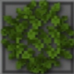 Better BushyLeaves logo
