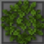 Better BushyLeaves logo