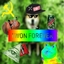 IWon forever Mod logo