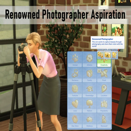Renowned Photographer Aspiration por Amethyst Lilac  / Translated to Spanish by dokimtz project image