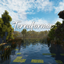 Terraformic logo