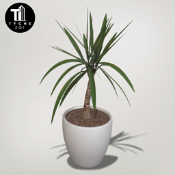 Tree of life plant logo