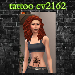 tattoo cv2162 project image