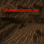Soulsandlands.jar logo