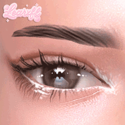 [Learxfl] Eyeliner N19 project image