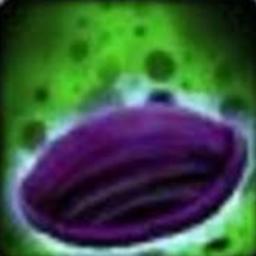 SeedCheck logo