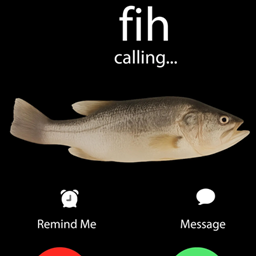 fihpack1 project image