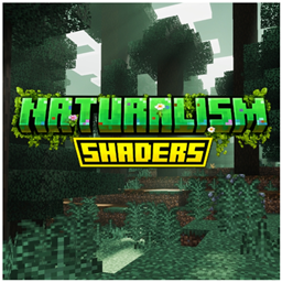 Naturalism Shaders project image