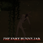 The Fake Bunny Dweller logo
