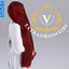 SILK PRESS HAIR  - VEXSIMS2000 logo