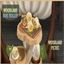icemunmun Woodland Bug Roll Up / translation spanish by Monisims logo