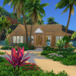 Beach House IV - No Cc project image