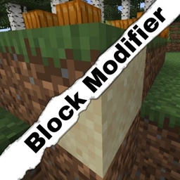 Block Modifier logo