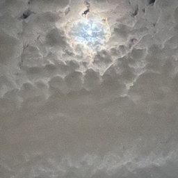 Dragonic Ascension project image