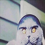 Tuff Cat Totem logo