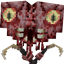 Nexus Infection logo