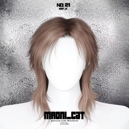 [Maoni_cat]HAIR No.21 ver.2 project image